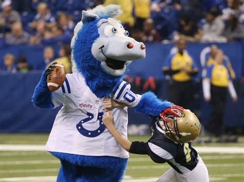 The Blue Legacy: How the Colts Mascot Continues to Inspire Future Generations